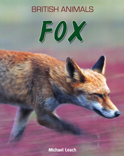British Animals: Fox