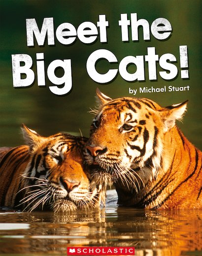 Guided Readers: Meet the Big Cats! x 6