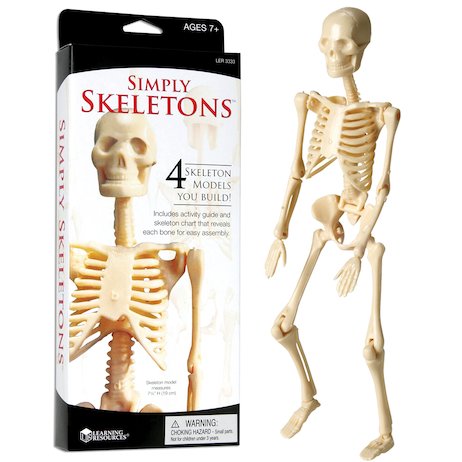 Simply Skeletons