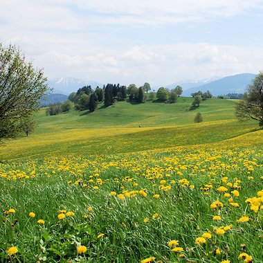 Spring landscape Spring landscape