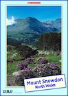 Mount Snowdon poster