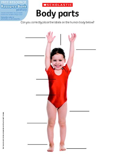 Body parts – FREE Primary KS1 teaching resource - Scholastic