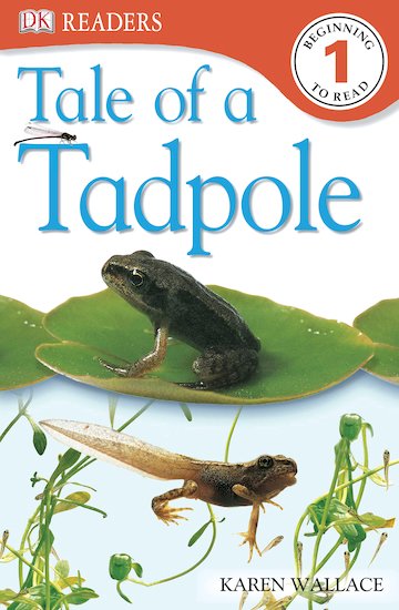 Tale of a Tadpole