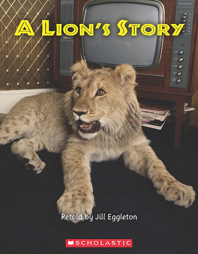 Connectors: A Lion's Story x 6