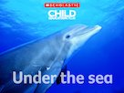 Under the sea – factfile interactive