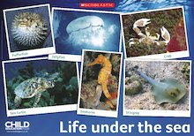 Life under the sea – poster