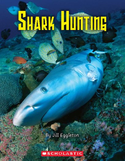 Shark Hunting x 6