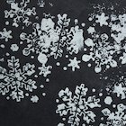 Snow print