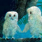 Detail from Owl Babies illustration