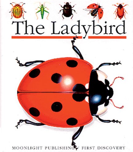 First Discovery: The Ladybird