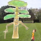 Around the world in 11 plants