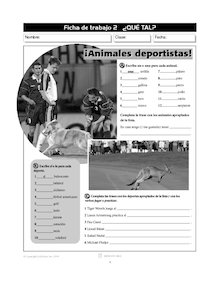 ¡Animales deportistas!