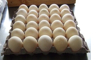Huevos