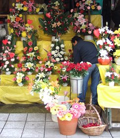 Florería, puesto de flores