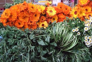 market84herbs&flowers-ebree_mgm_es.jpg