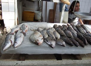 Pescadería, pescados, puesto de pescados