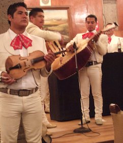 Mariachis, cantantes, trovadores (México)