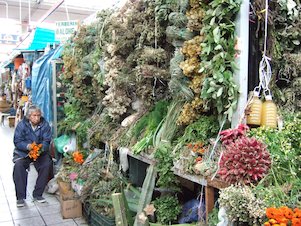 Verdulería, herboristería, hierbas, verduras varias (México)