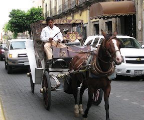 Sulki, carreta, carro, caballos (México)