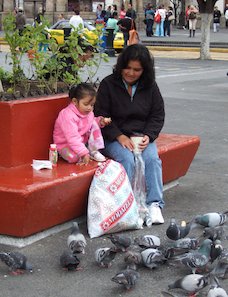 Niña alimentando palomas, Niña y aves