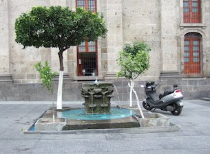 Fuente