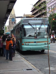 Colectivo, autobús, bus, ómnibus, micro, guagua (México)