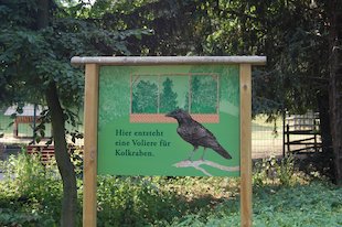 (das) Schild, (der) Rabe