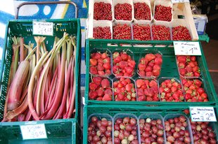 (der) Obststand, (die) Stachelbeere, (der) Rhabarber, (die) Erdbeere, (die) Johannisbeere