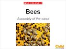 Bees – image slideshow