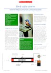 Make a bird table alarm (1 page)