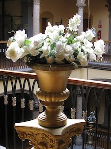 Flores