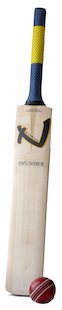 Bate y pelota de cricket, bate y bola de cricket