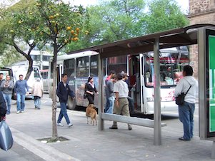 Parada de colectivo, parada de autobús, Parada de bus, Parada de ómnibus, Parada de micro, Parada de guagua (México)