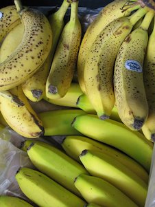 Bananas, plátanos