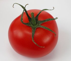rote Tomate