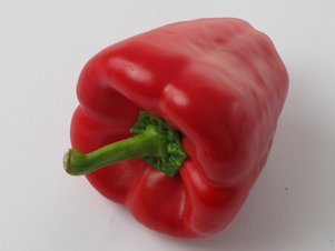 rote Paprikaschote