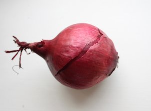 rote Zwiebel