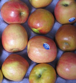 Äpfel