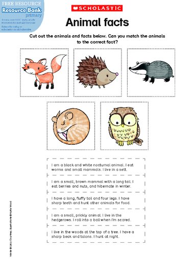 Animal facts – FREE Primary KS1 teaching resource - Scholastic