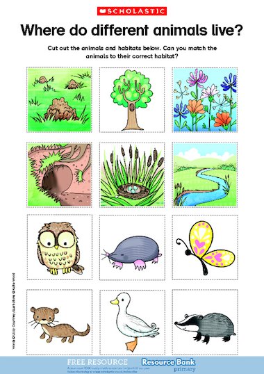 Where do different animals live? – FREE Primary KS1 teaching resource -  Scholastic