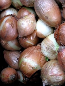 Oignon blanc