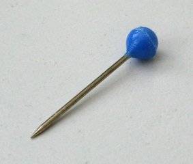 Punaise