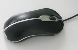 Souris 1