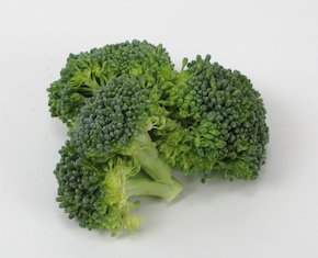 Têtes de brocolis 1