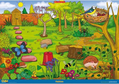 Habitats – minibeast and plant poster – Primary KS1 teaching resource ...