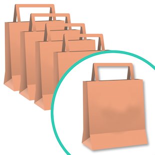 Scholastic Paper Bags: Pack of 25