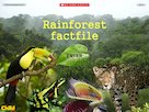 ‘Suka’s story’ – rainforests – FREE Primary KS2 teaching resource ...