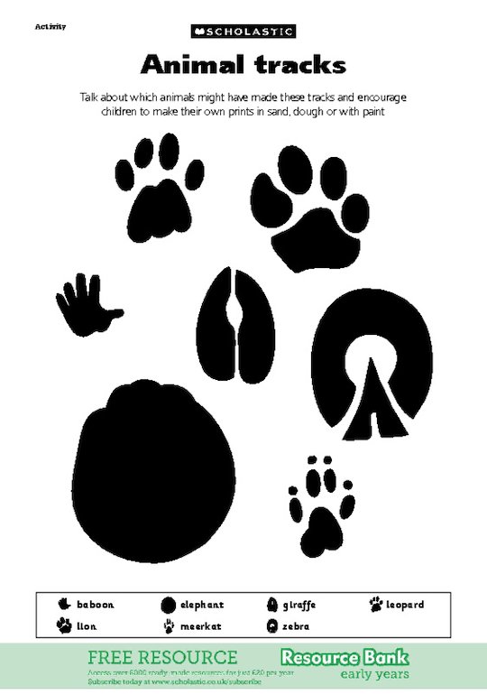 Animal tracks - Scholastic Shop