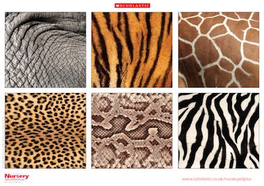 Animal patterns poster – Early Years teaching resource - Scholastic