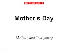 Mother’s Day – ‘Mothers and their young’ slideshow